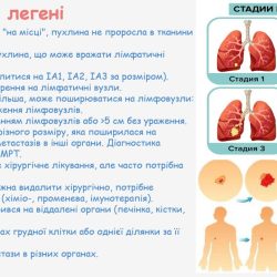 24 квітня 2025 р. Вітаємо доцента кафедри Надію ШЕЙКІНУ - наукового керівника, чиї здобувачі отримали дипломи І ступеня на Всеукраїнському конкурсі студентських наукових робіт з галузей знань і спеціальностей